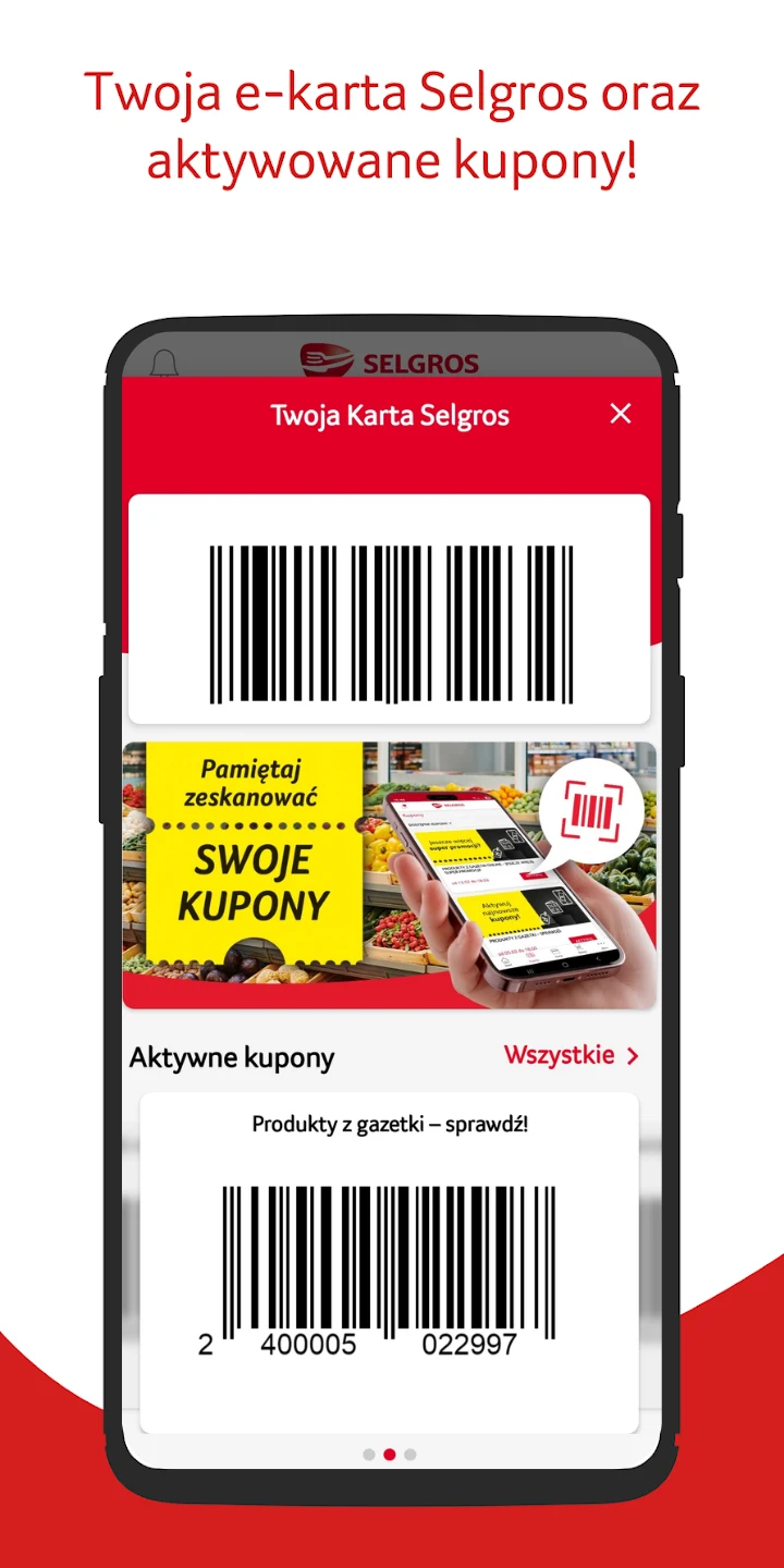 Selgros screenshot
